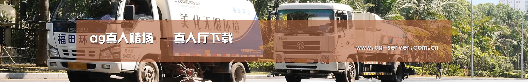 公司简介