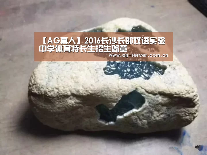 【AG真人】2016长沙长郡双语实验中学体育特长生招生简章(图4) AG真人入口